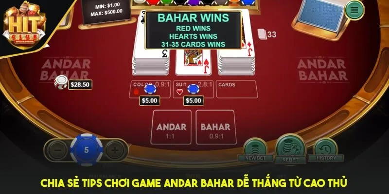 Chia sẻ tips chơi game Andar Bahar dễ thắng từ cao thủ